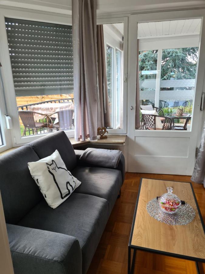 Ferienwohnung Im Birkenweg 默尔斯多夫 外观 照片